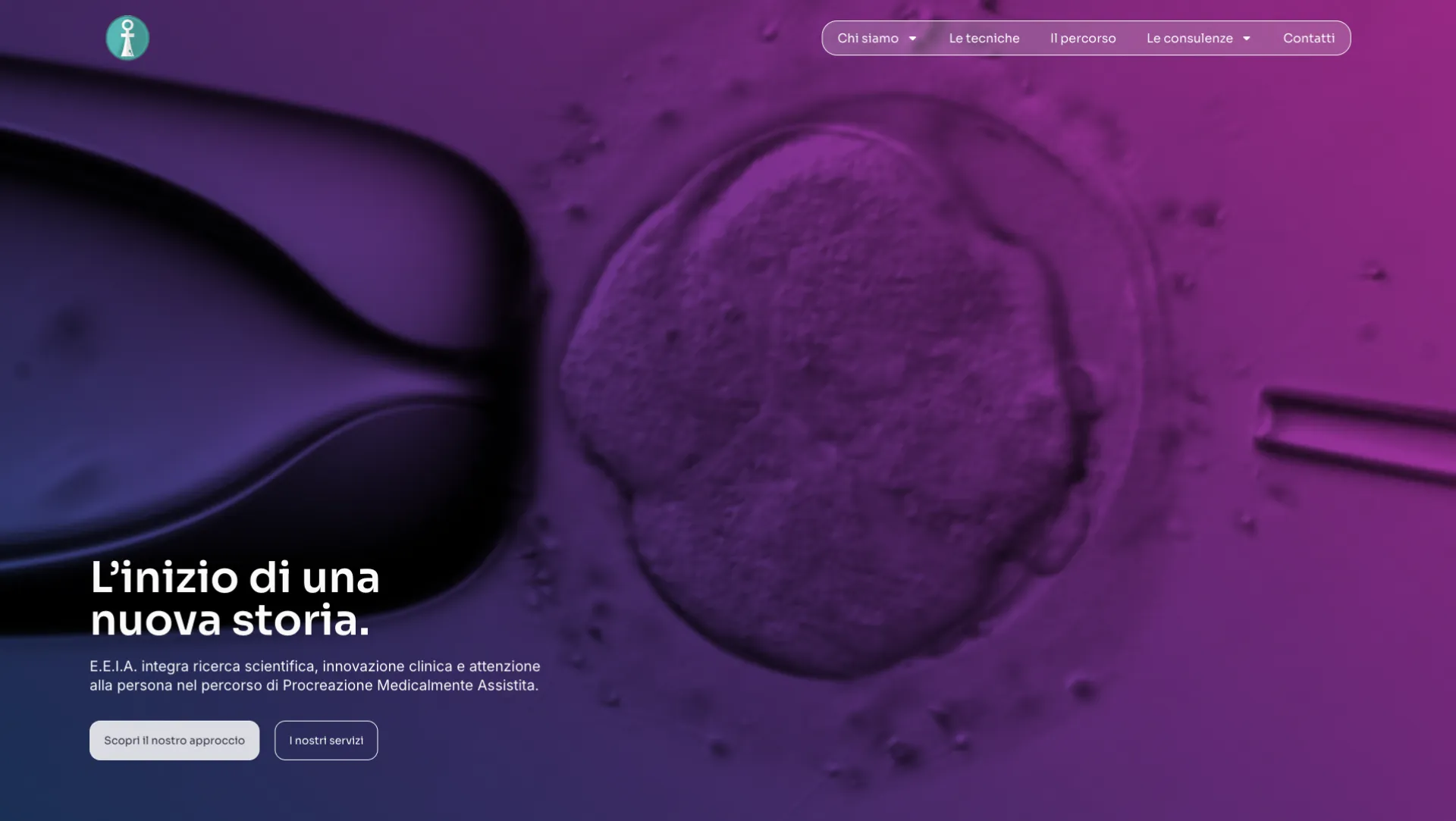 Homepage del sito EEIA