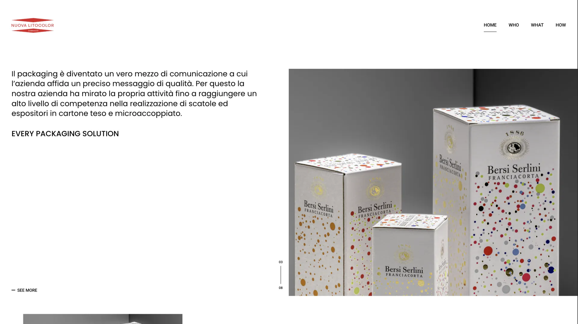 Nuova Litocolor Dabrazzi website homepage